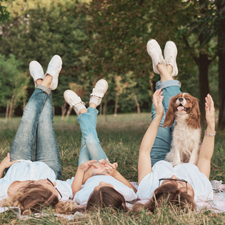  famille d'accueil pour chien