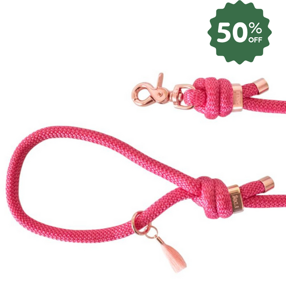 laisse chien paracorde rose