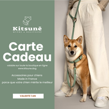  carte cadeaux accessoires chiens