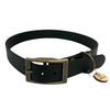 collier pour chien biothane noir
