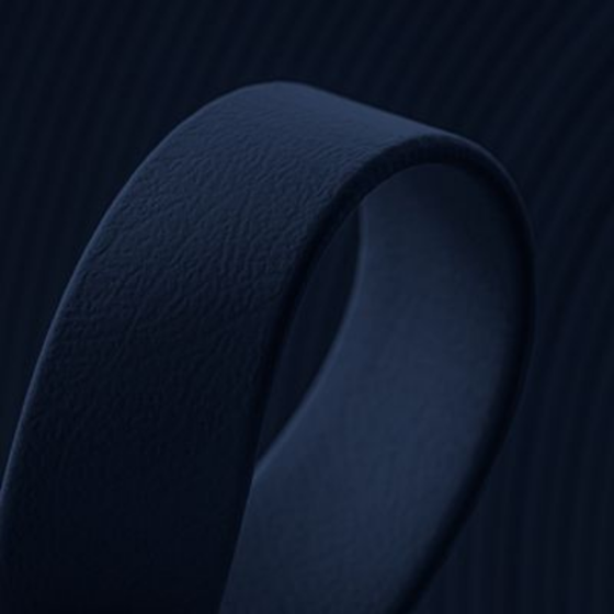 Sangle pour appareil photo en biothane