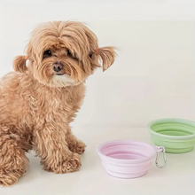  bol portable pliable pour randonner avec son chien