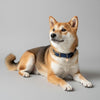 collier pour chien artisanal bleu