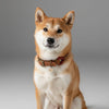 collier pour chien artisanal ouge marron