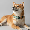collier pour chien artisanal vert