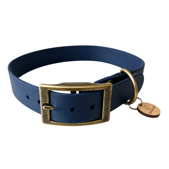 collier pour chien en biothane bleu