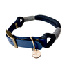 collier pour chien bleu made in France