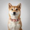 collier pour chien original bimatière rose
