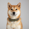 collier pour chien fait main vert
