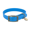 collier chien biothane bleu