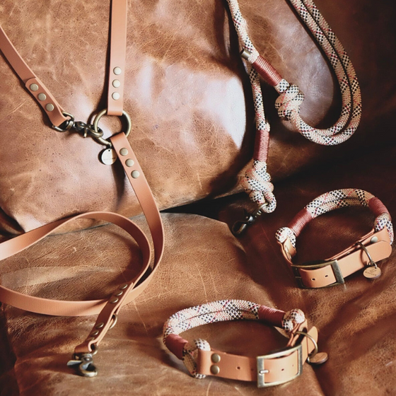 collier artisanal chien