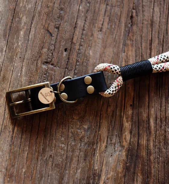 collier chien en paracorde fait main