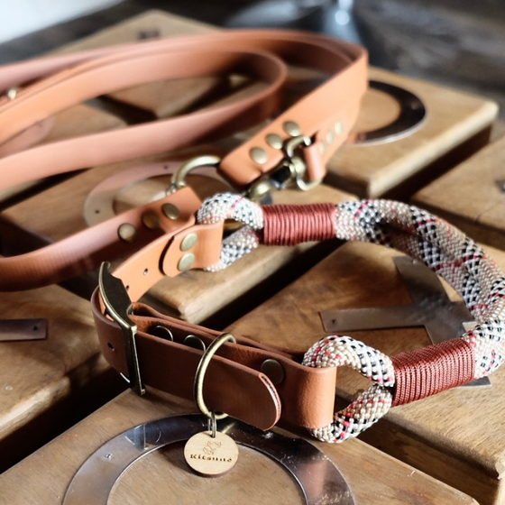 collier pour chien en paracorde