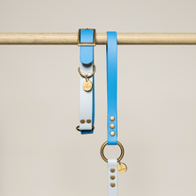  collier chien biothane bleu bi color