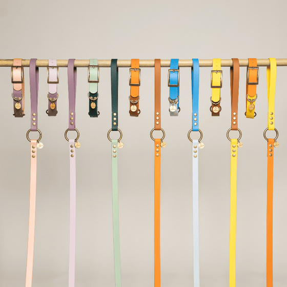 collier biothane deux couleurs