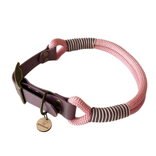  collier chien biothane mauve paracorde rose