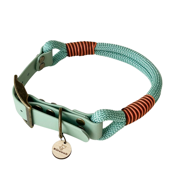 collier chien réglable biothane paracorde vert d'eau