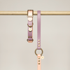 collier chien biothane rose lilas