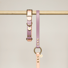  collier chien biothane rose lilas
