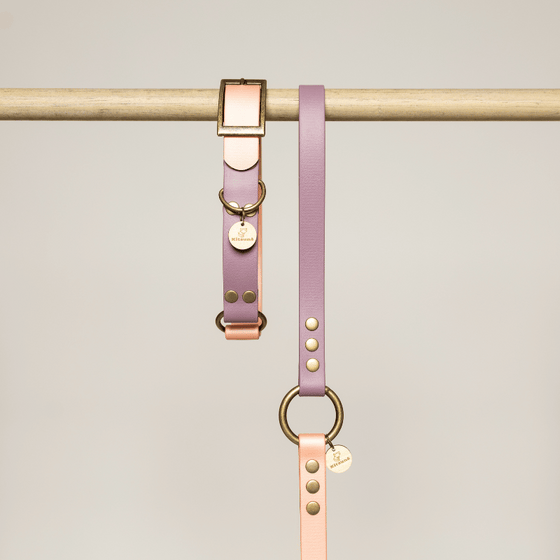 collier chien biothane rose lilas