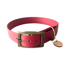  collier chien biothane rouge