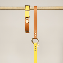  collier chien biothane jaune marron