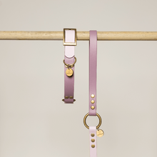  collier chien lavande lilas