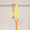 collier biothane chien orange jaune