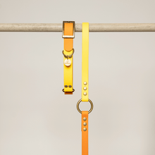  collier biothane chien orange jaune