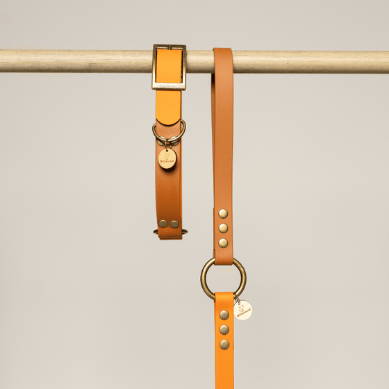 laisse pour chien en biothane orange et marron