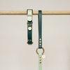 collier chien biothane vert 