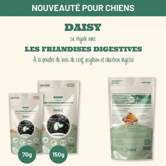 friandises naturelles et saines pour chiens