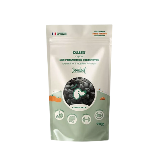 friandises naturelles pour chien
