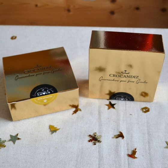 biscuits de Noël pour chiens