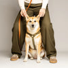 harnais pour chien vert olive imperméable