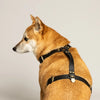 harnais pour chien en biothane noir en forme de H
