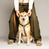 harnais en biothane imperméable pour chien