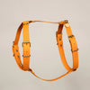 harnais pour chien en biothane orange