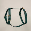 harnais pour chien en biothane vert foncé