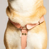 harnais en biothane rose en forme de Y