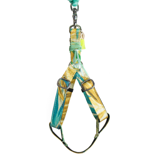 harnais chien baudrier jaune et vert