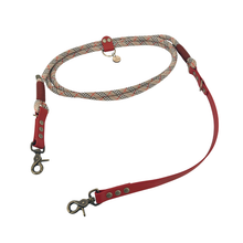  laisse pour chien bimatière en paracorde et biothane