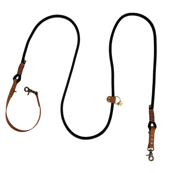 laisse pour chien en paracorde noire et biothane marron made in france