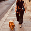 laisse main libre pour chien