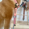 laisse chien bi-matière rose