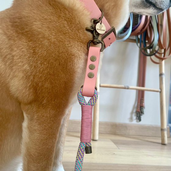 laisse chien bi-matière rose