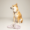 collier chien biothane mauve