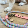 laisse chien paracorde biothane rose