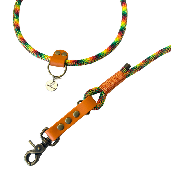 laisse multiposition chien orange