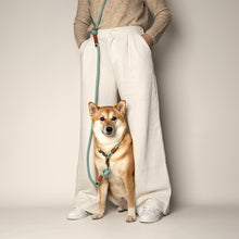  laisse chien main libre made in france